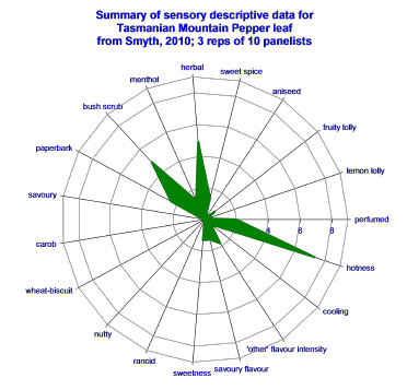 Flavour profile of Tasmanian Mountain Pepper leaf