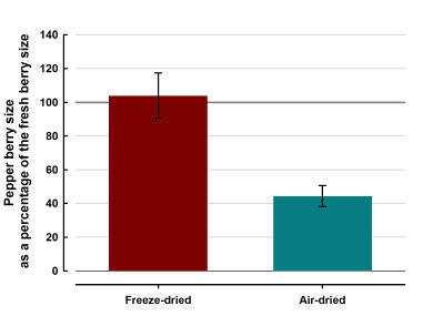 Freeze-drying retains berry size but air-drying shrinks the berries