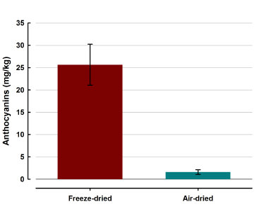 Freeze-drying retains a great deal more anthocyanins (red colour) than air-drying